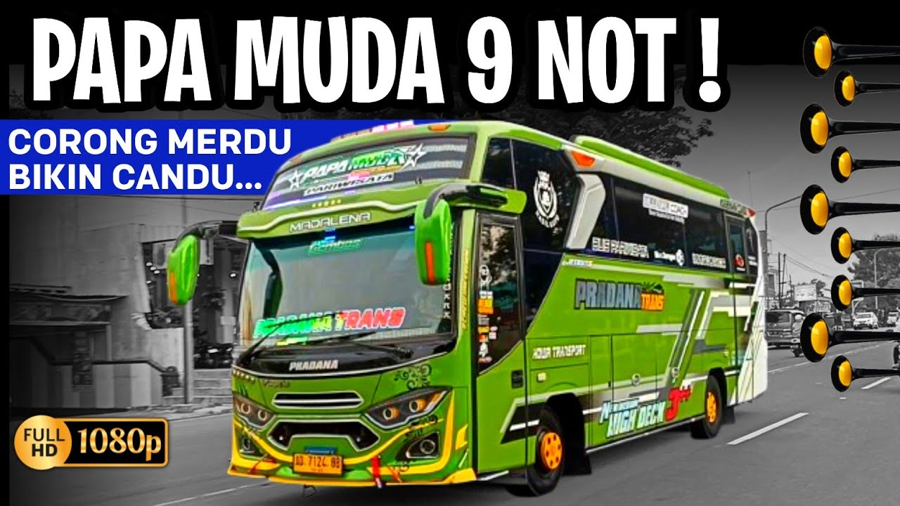 [ KECIL - KECIL CABAI RAWIT ! ] 🥵 IKUT TREND BASURI 9 NOT !! PAPA MUDA 💚 SUARANYA MIRIP TJ KYLOREN 🤩