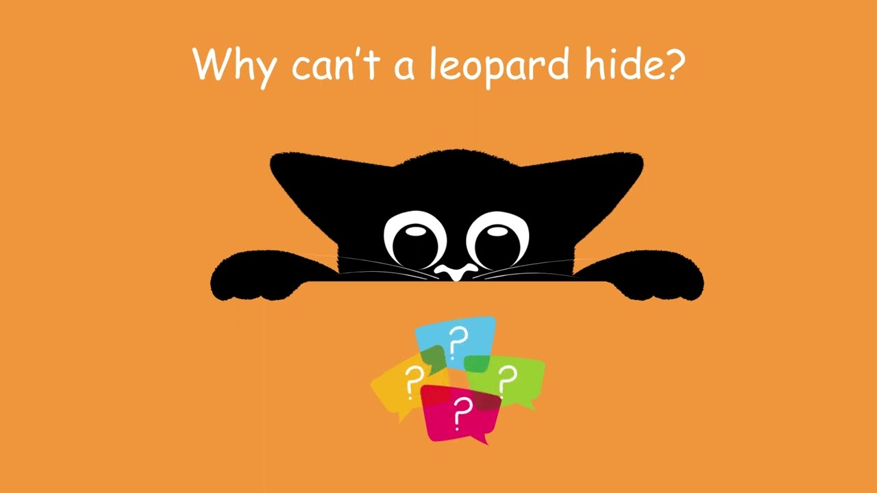 Light-hearted fun videos for all ages