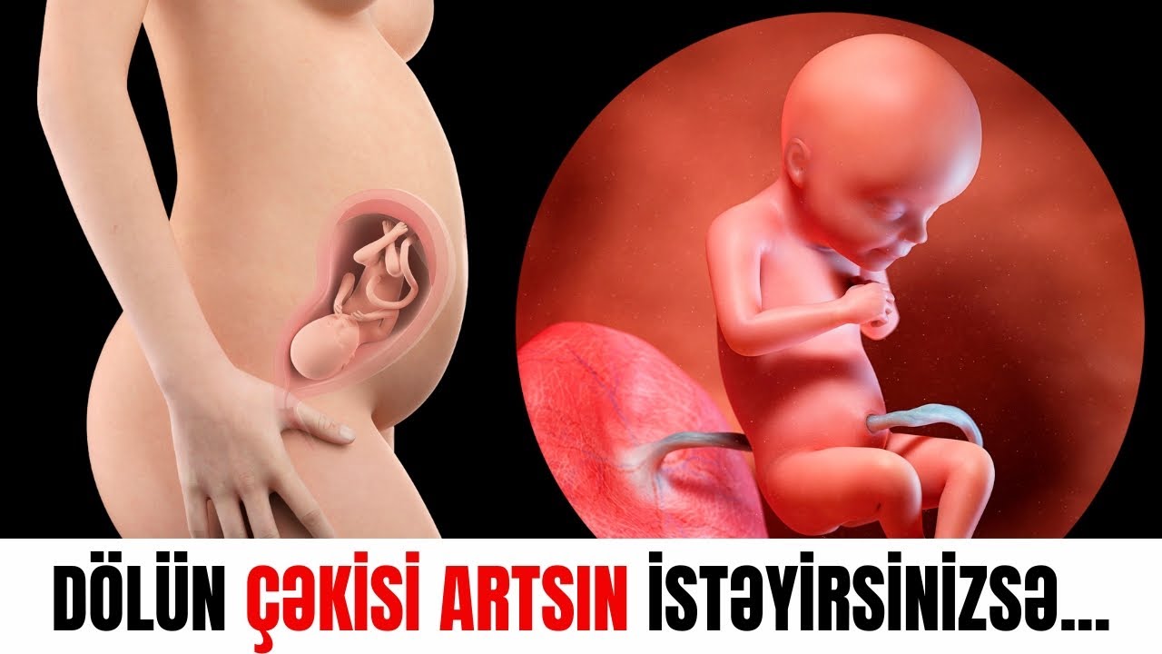 Dölün çəkisi necə artır?