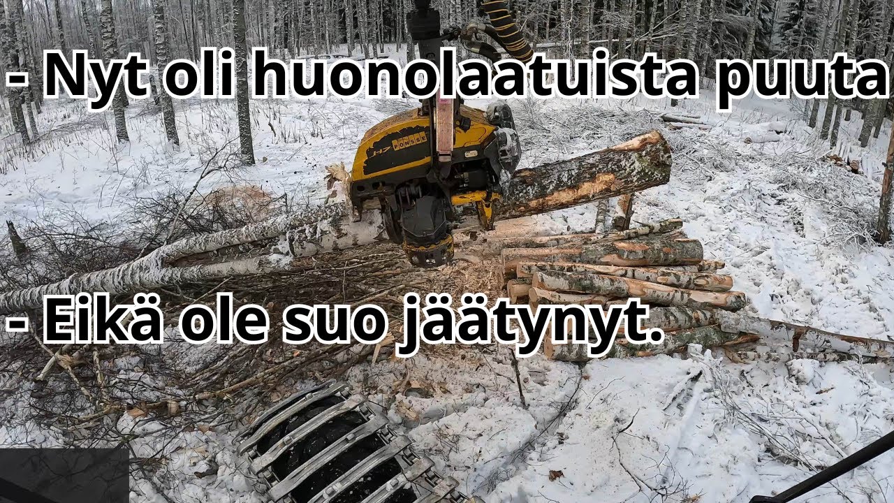 Melkosen surkee laatuista koivu uudistushakkuuta pehmeällä suolla. VR92 Ponsse Scorpion K H7 AC FC