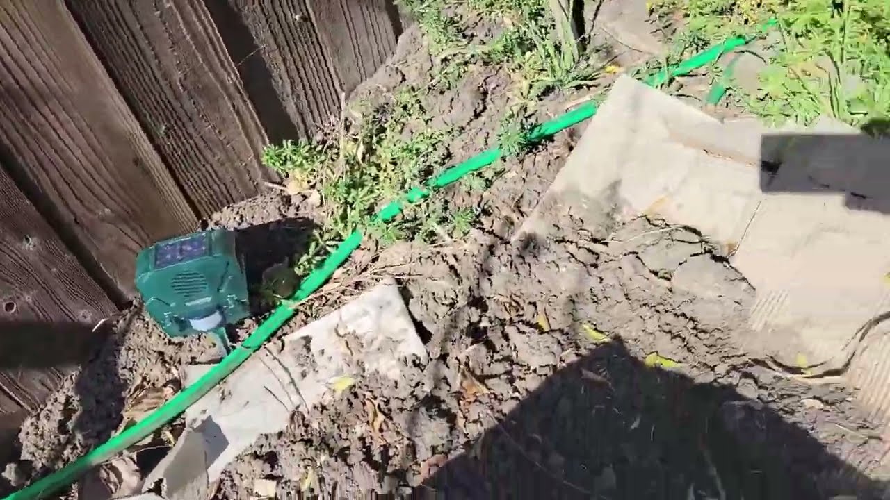Pest control Solar Guard