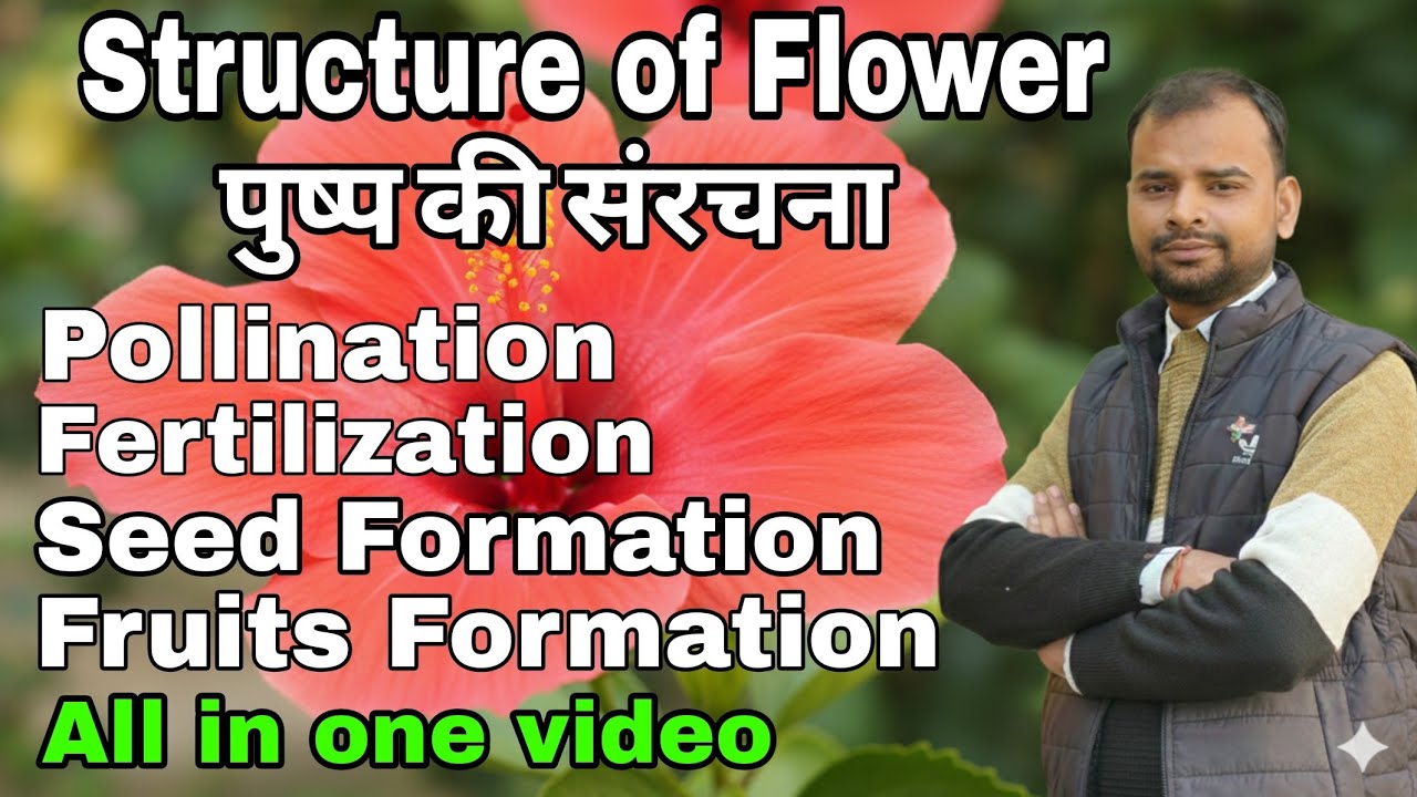 Structure of Flower, पुष्प की संरचना , Reproductive Structure of Flowers 🌺 , Pollination & it's type