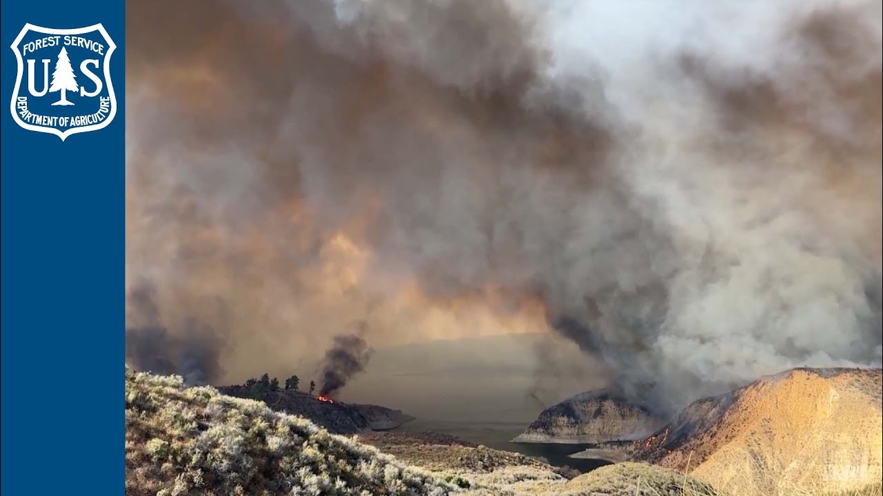 Fire Effects Information System
