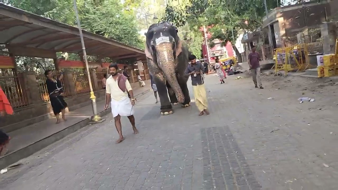 MEENAKSHI AMMAN TEMPLE _MADHRAI