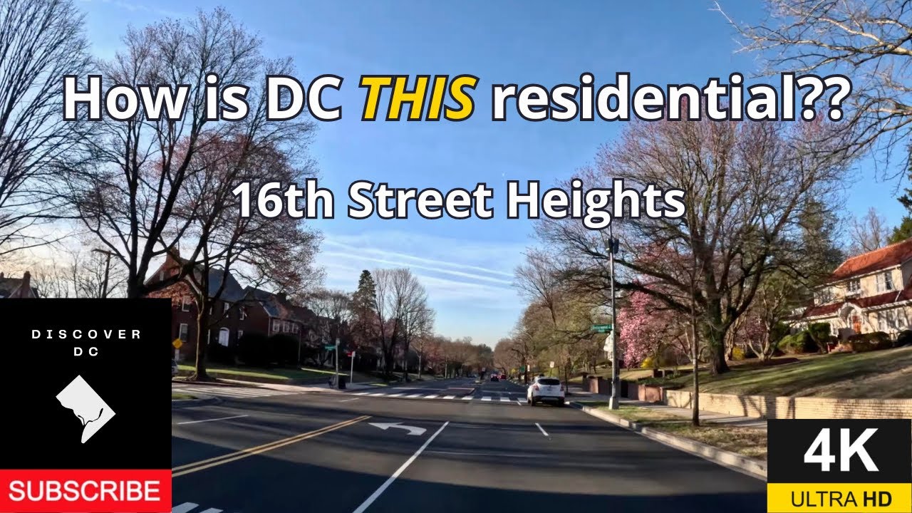 16th Street DC Drive: From Quiet Homes to Downtown Buzz | 4K POV #dc #dashcam