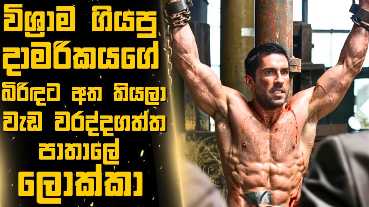 බිරිඳ වෙනුවෙන් පලිගන්න ආයෙත් මැර රස්සාවට එන ලොව දරුණුම දාමරිකයා 🎬Sinhala Moviereview |2025 new films