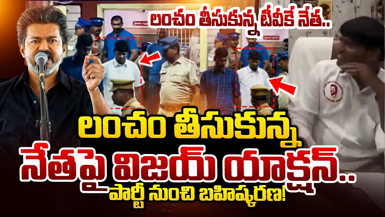CM Vijay's Sensational Decision on Corrupt Leader | TVK Leader Caught Taking Bribe | TVK Vijay