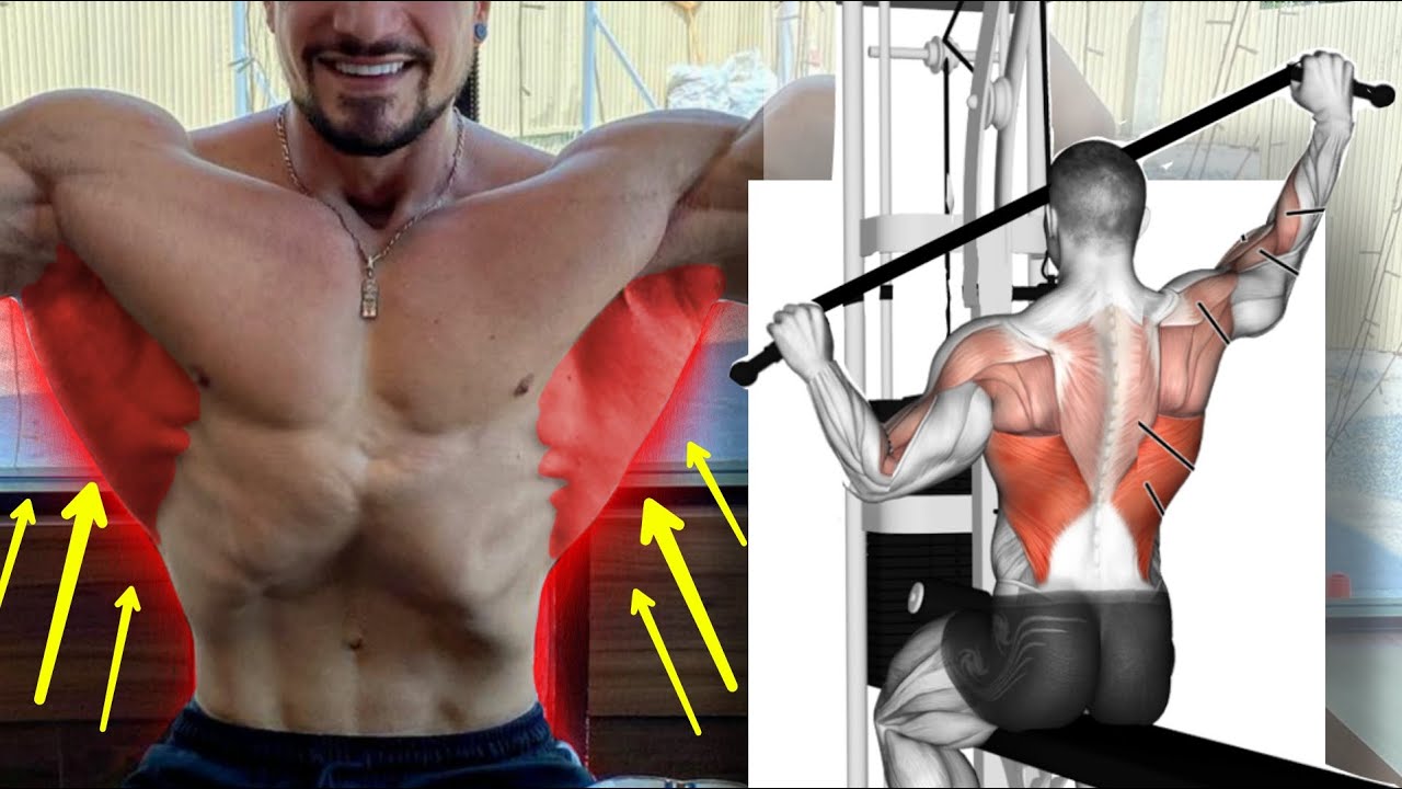 Treino de Costas Completo
