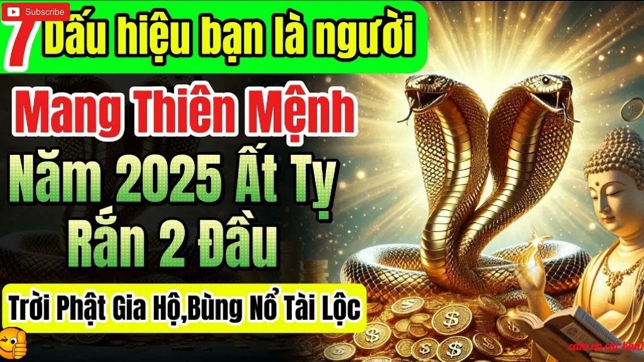 Người Có Mệnh Rắn 2 Đầu Năm 2025 — Mệnh Lớn, Đức Lớn, Trời Độ 2