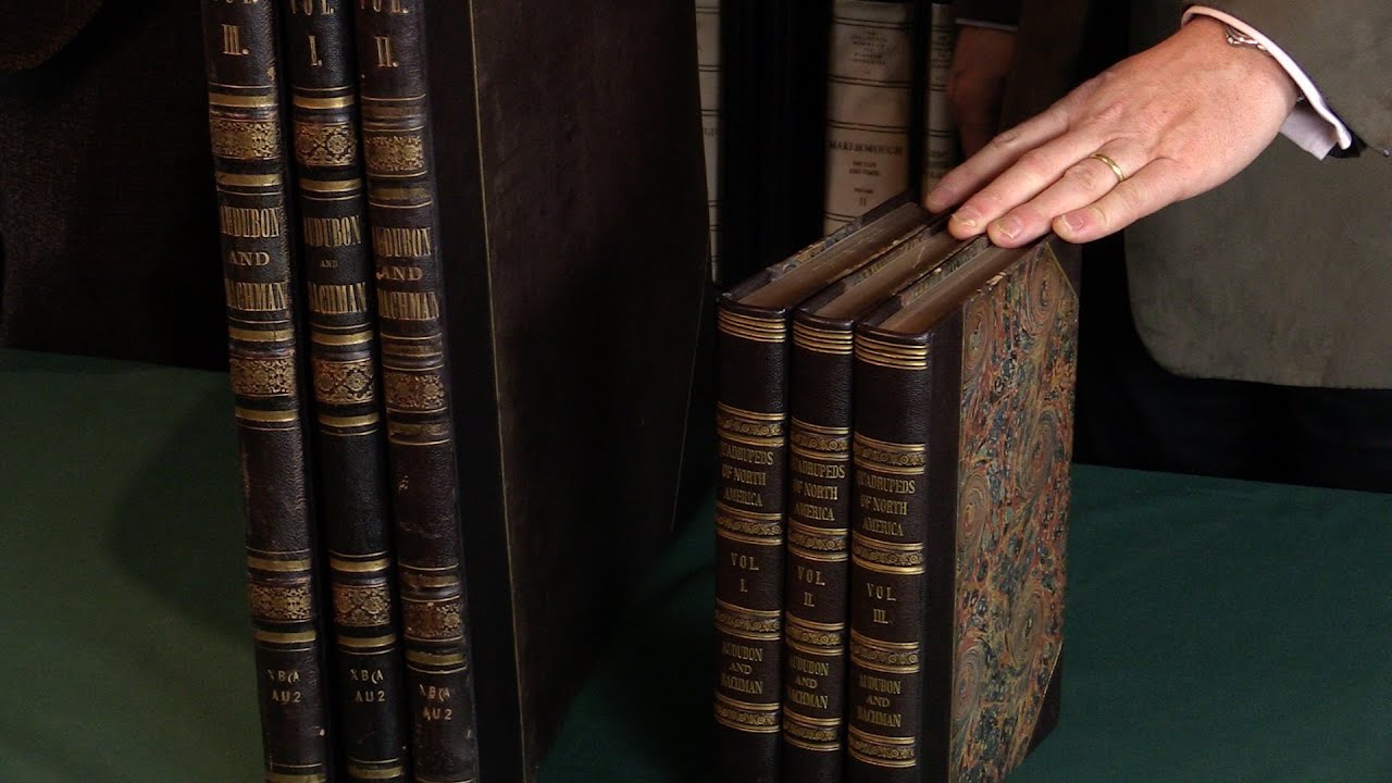 The Viviparous quadrupeds of North America. John James Audubon & John Bachman.