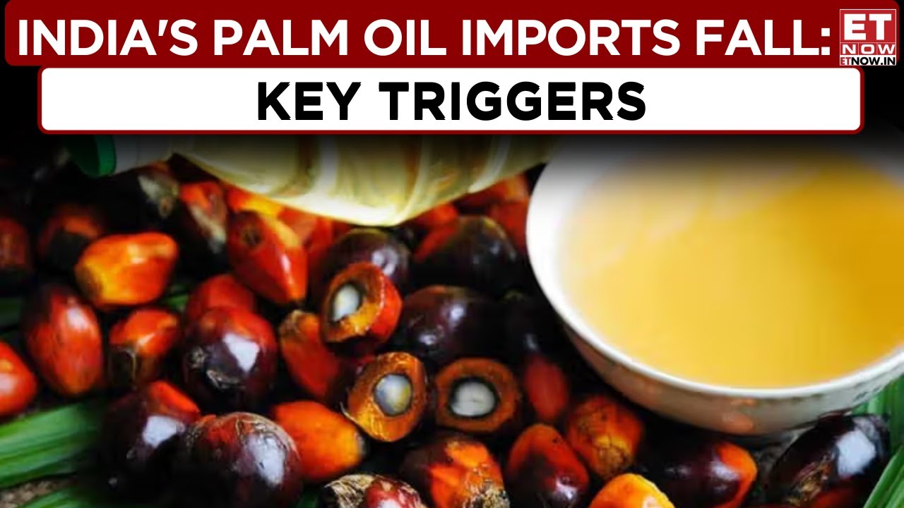 India's Palm Oil Imports Fall; Why The Prices Are Bottoming Out? Dr BV Mehta Discusses The Key Drags