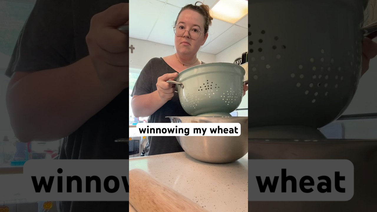 Winnowing my wheat. I’m confident I can do better next year! 