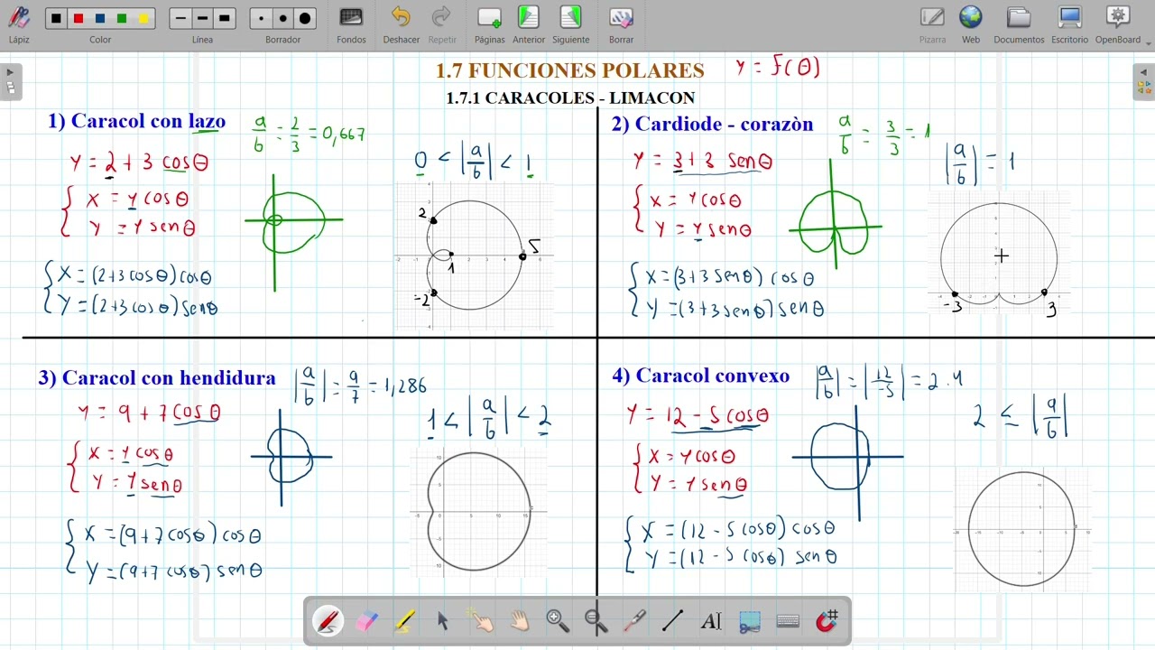 Cortes en los ejes de los caracoles (Caracol con lazo, con hendidura , convexo y cardiode o corazón)