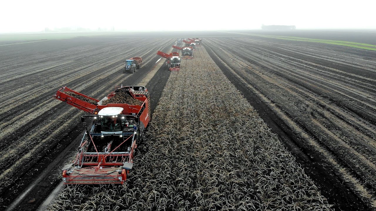 3 x Dewulf 4 Row, 2 x R3060 2 Row and 1 x Grimme Varitron Potato Harvesters