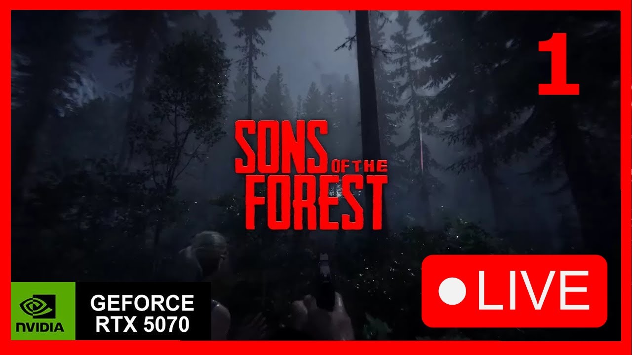 Son of The Forest con RTX 5070 Ryzen 7 5700x cap 1