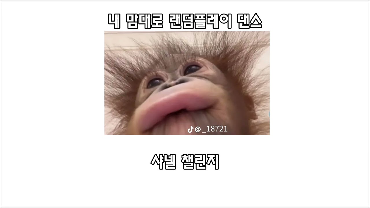 내 맘대로 랜덤플레이 댄스 #랜덤플레이댄스 #틱톡 #추천추천추천추천추천추천추천추천추천추천 