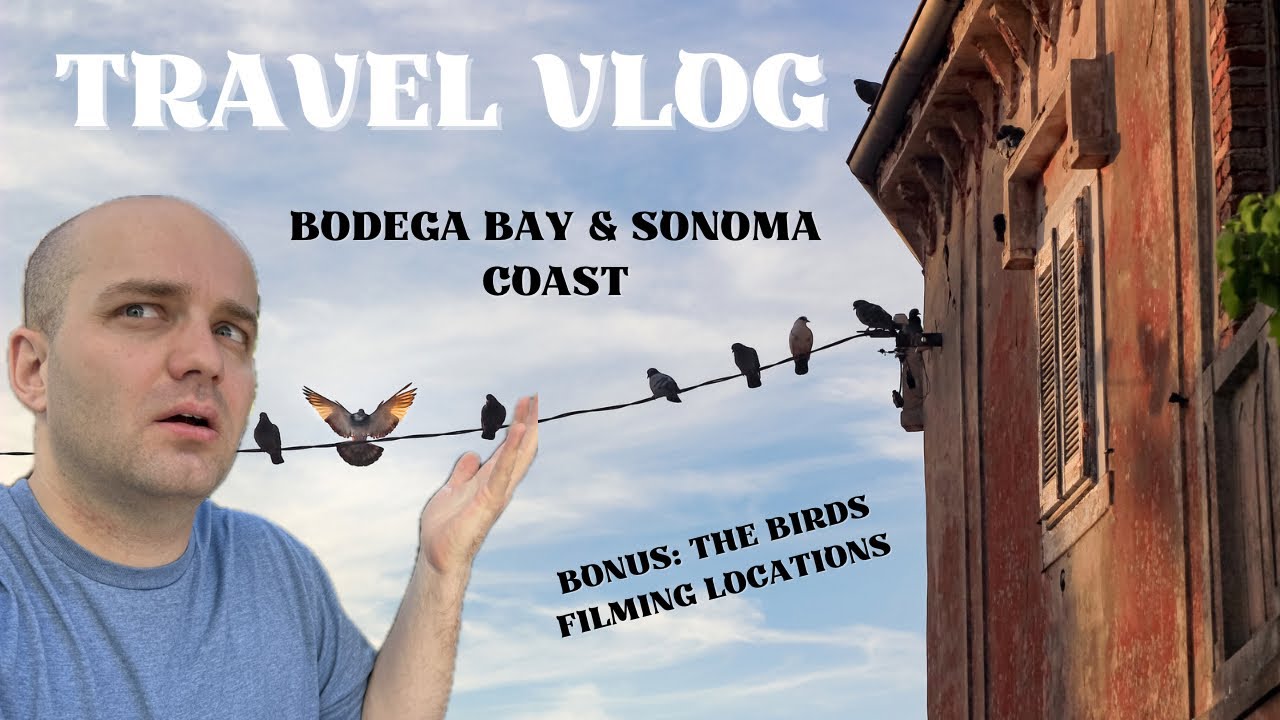 Travel Vlog | Bodega Bay and Sonoma Coast (+ The Birds Filming Locations)