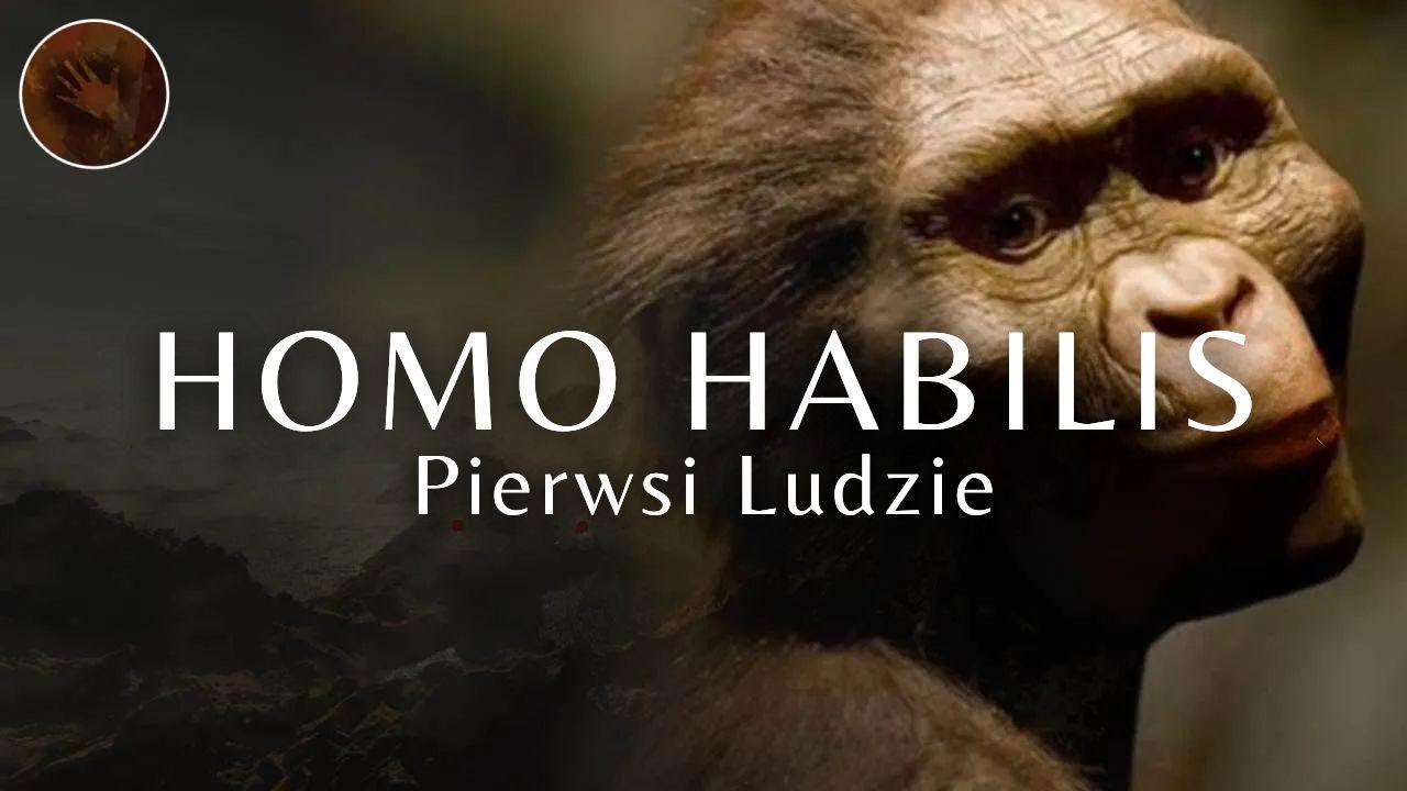Homo Habilis: Pierwsi 'Ludzie' &ndash; Dokument o Prehistorycznych Ludziach