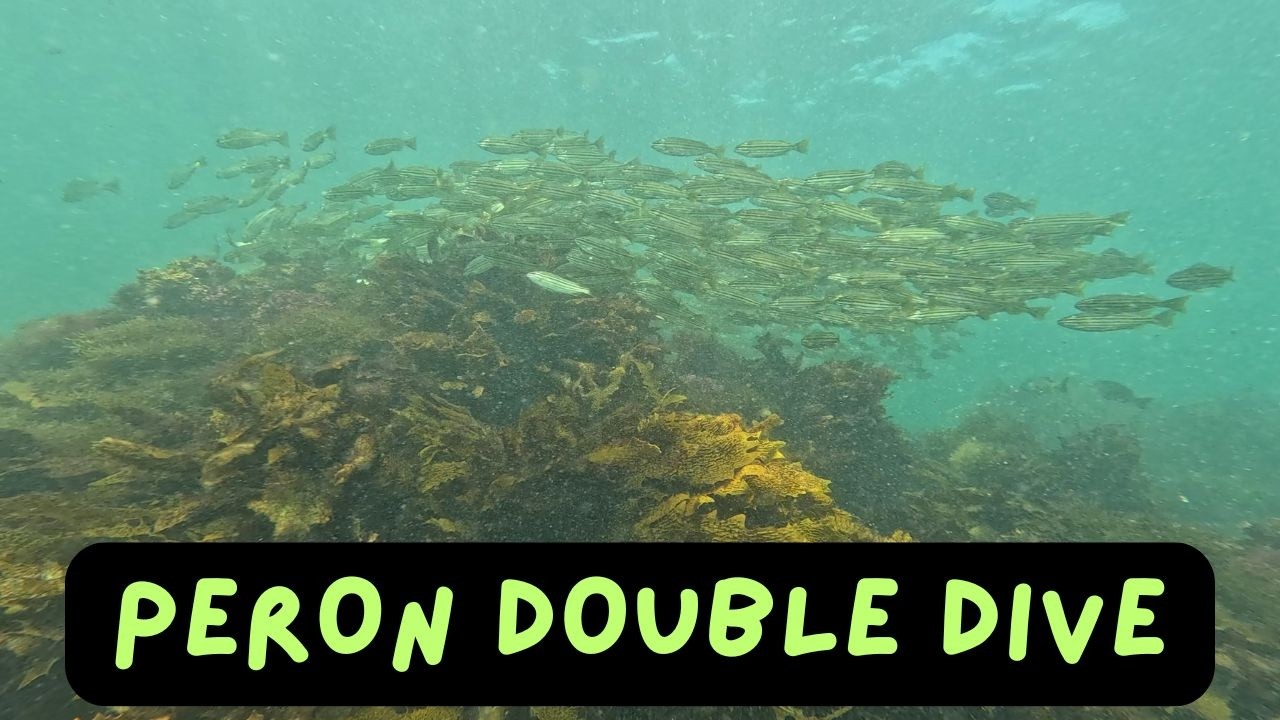 SCUBA - Point Peron Double - 08/02/2026