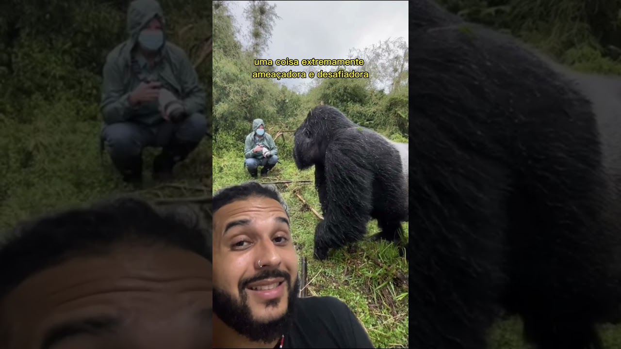 Ele quase foi ATACADO por um gorila! | Biomesquita