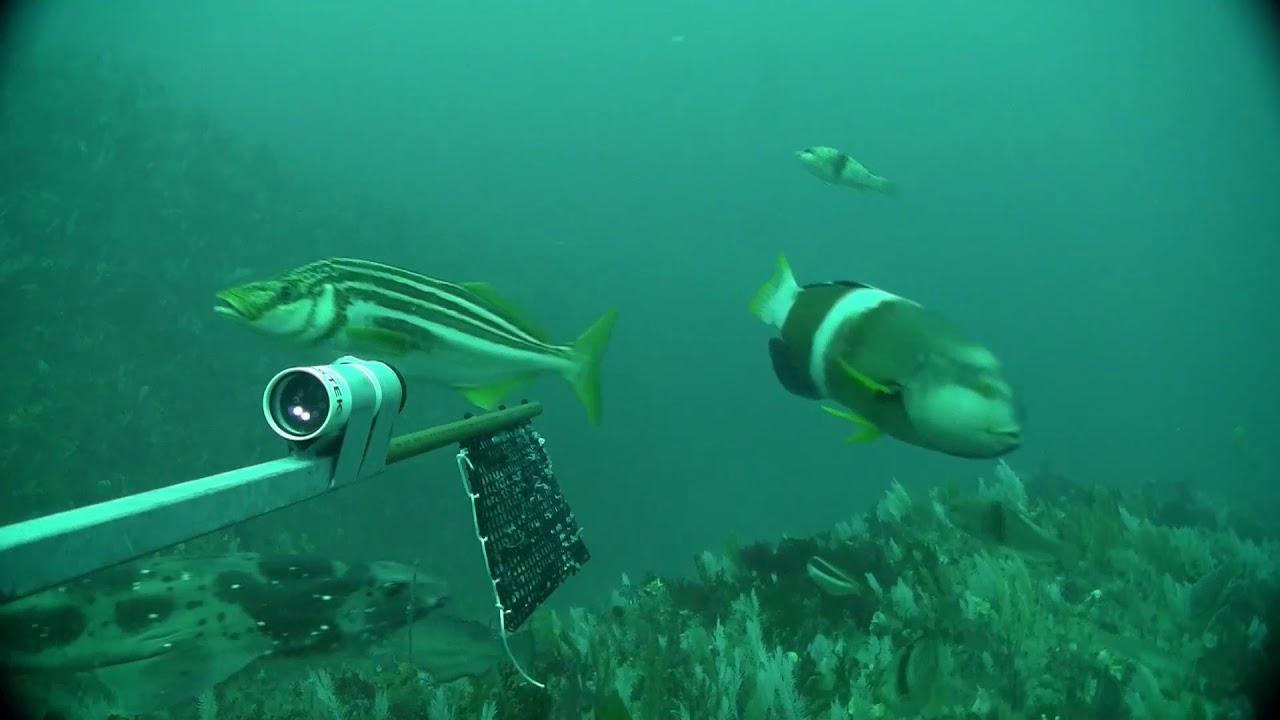 Discover Wilsons Promontory Marine National Park