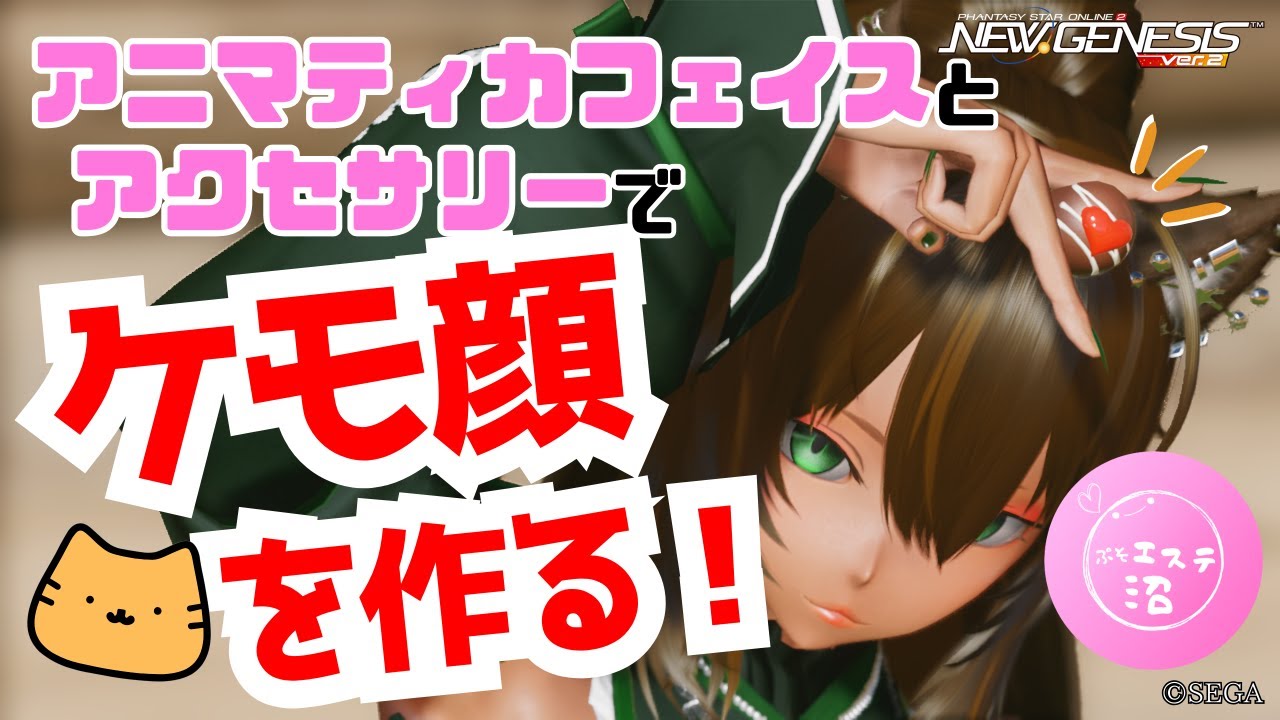 【PSO2NGS】アニマティカフェイスとアクセサリーでケモ顔を作る