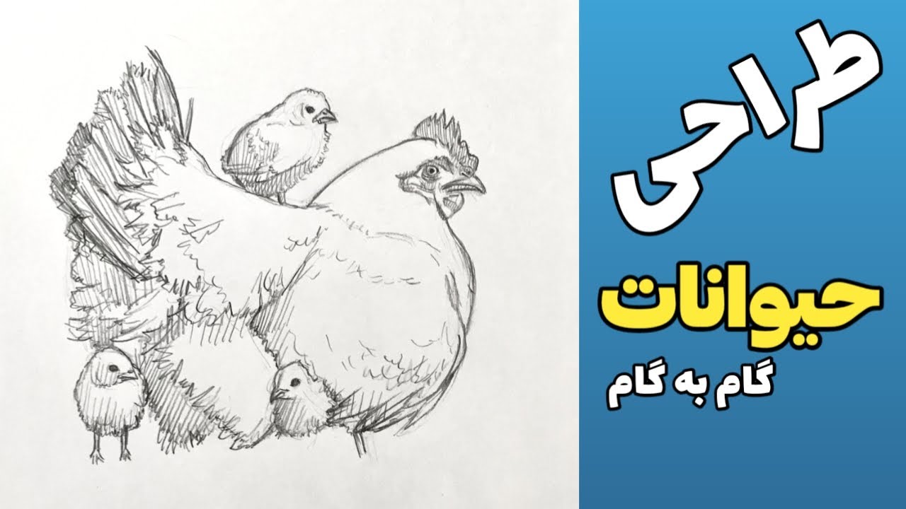 آموزش طراحی از حیوانات، آموزش طراحی با مداد