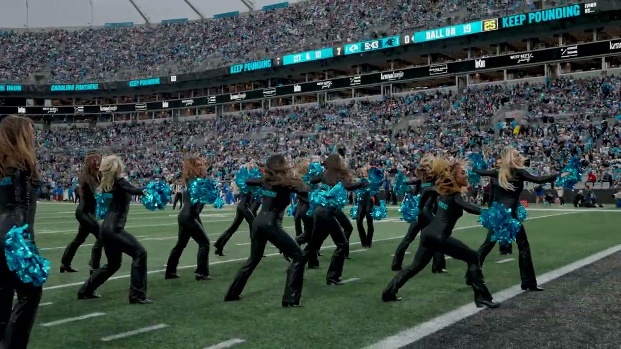 Carolina Panthers TopCats- Party Up 