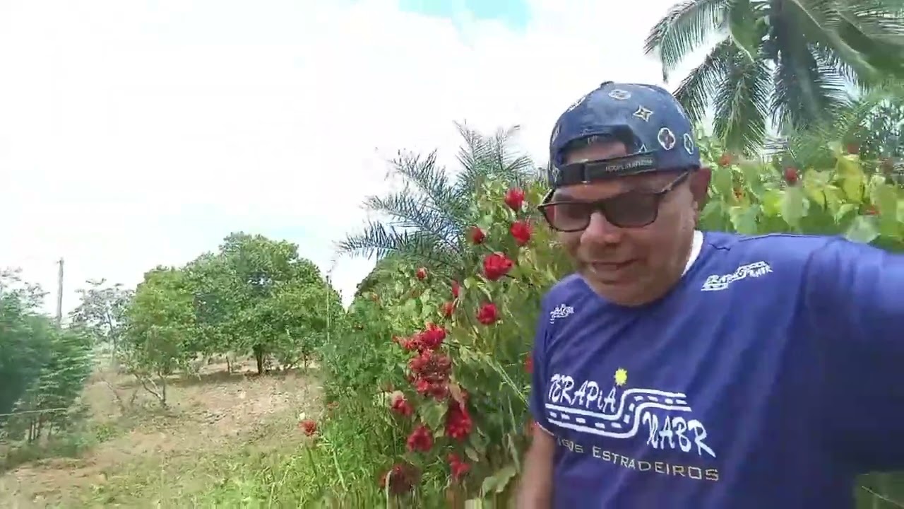 Viagem e culinária, é um fenômeno para o s alimentos no nordeste colorau.