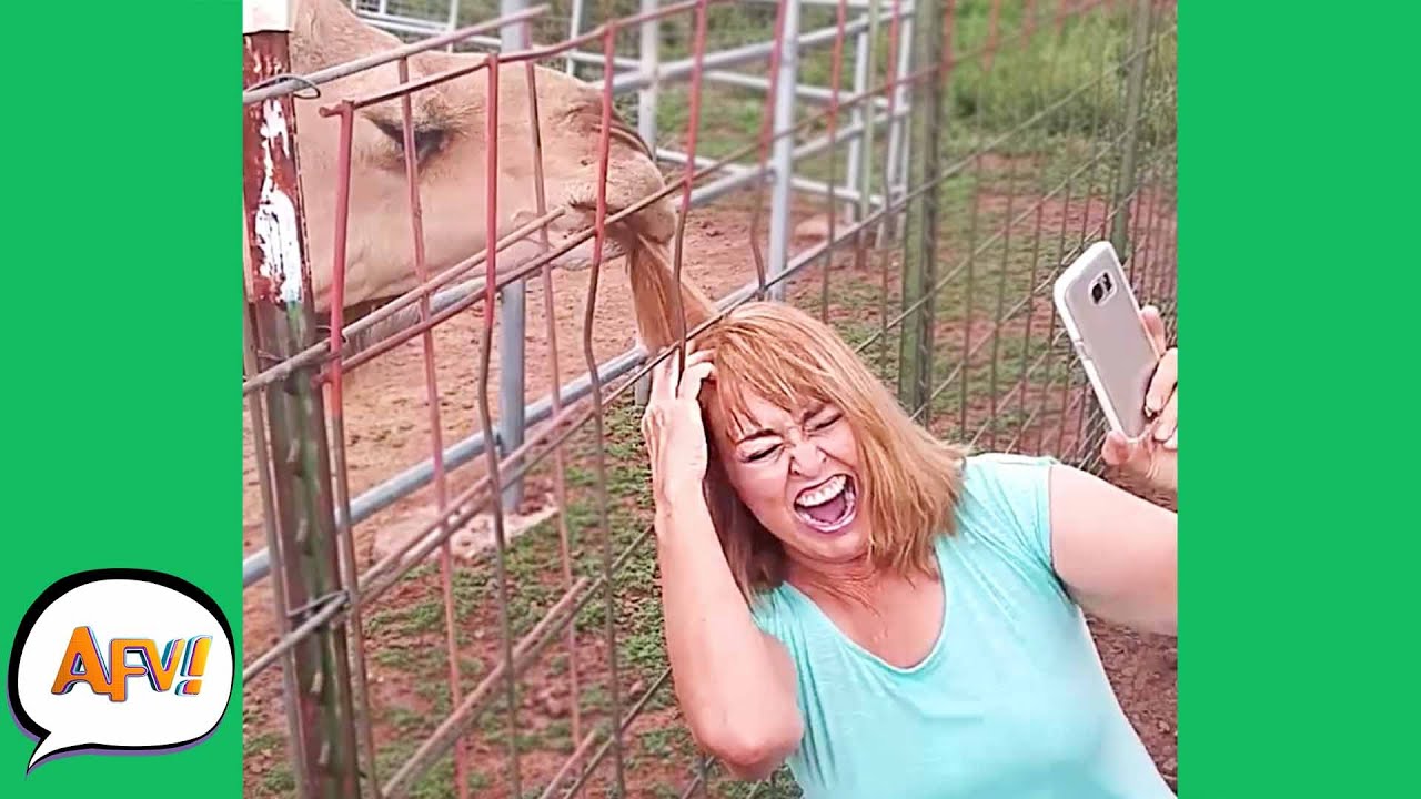 CAMEL Got Your HAIR?! 😅😂 | Funny Fails | AFV 2021