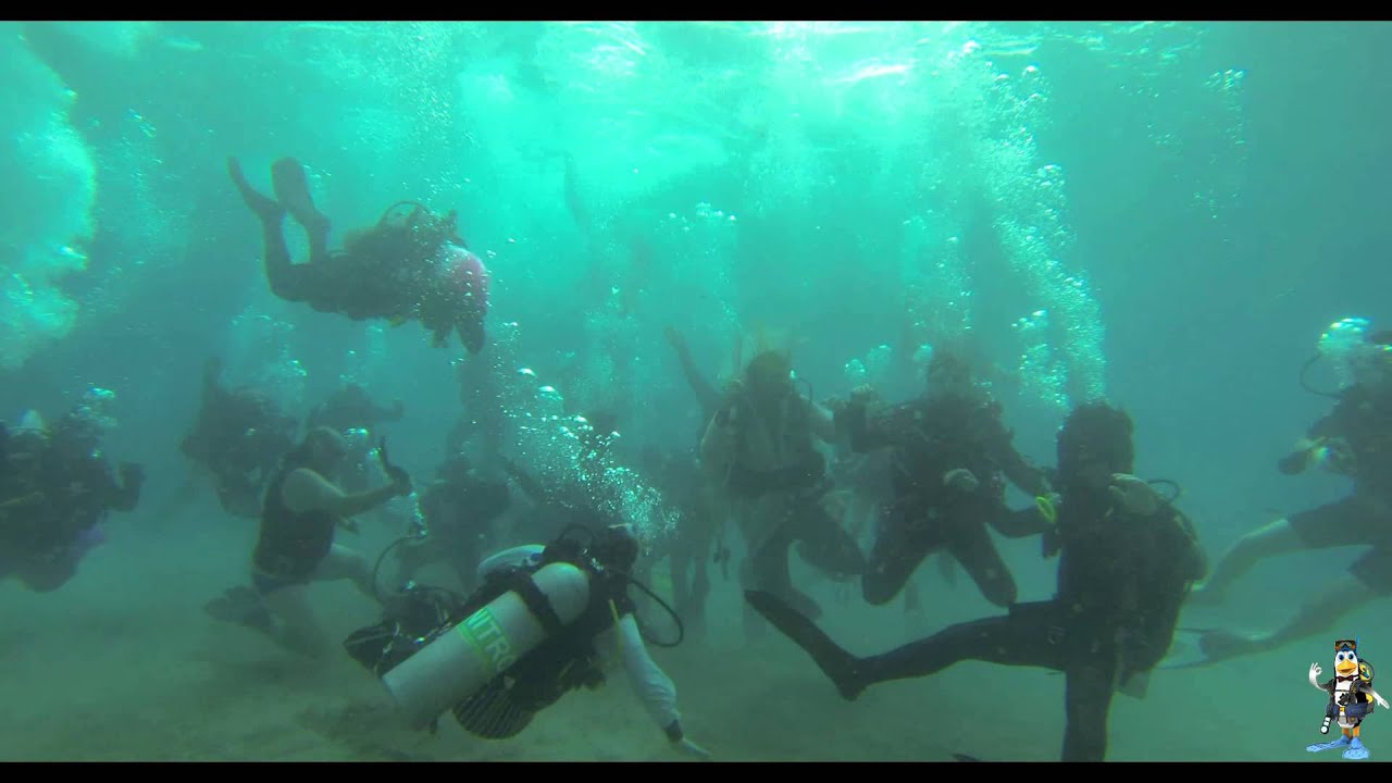 Harlem Shake (Best Original Scuba Dive) - UNDERWATER