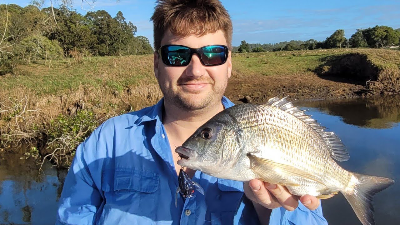 Bream on Cicada lures..the strike..Karuah River