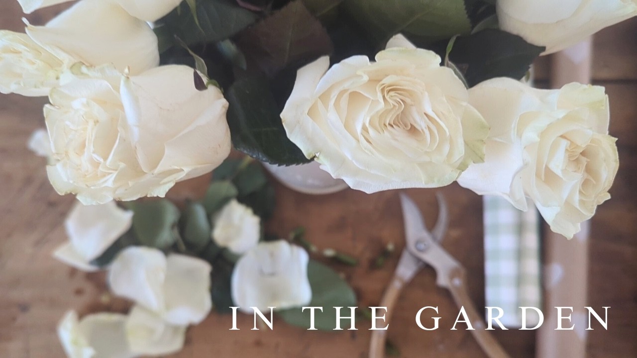 IN THE GARDEN: February - Elevated Grocery Bouquet, Indoor Gardening, Houseplant Care