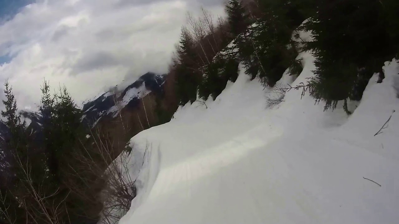 Donnersbachwald Riesneralm Piste 1 Waldabfahrt