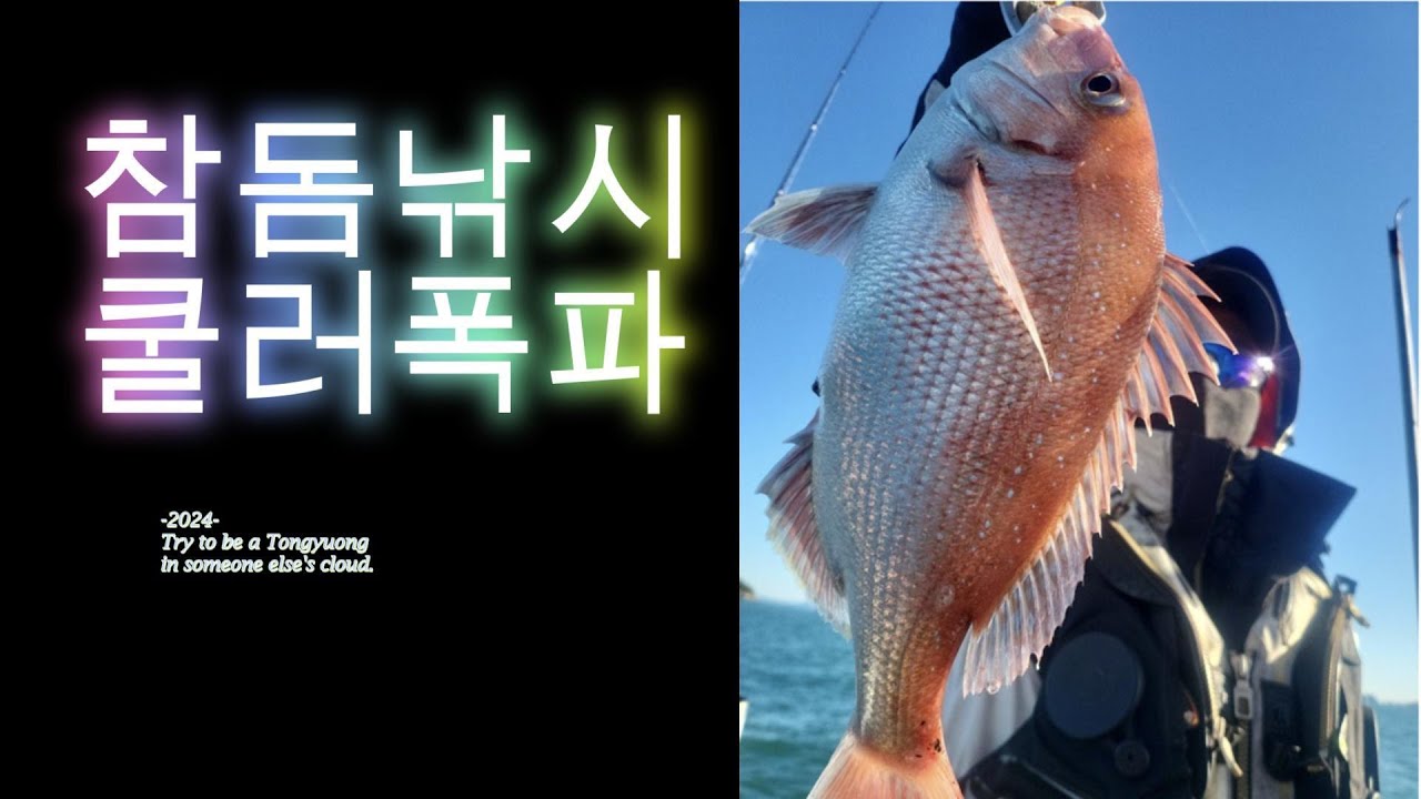 참돔 타이라바 낚시 쿨러 폭파시켰습니다