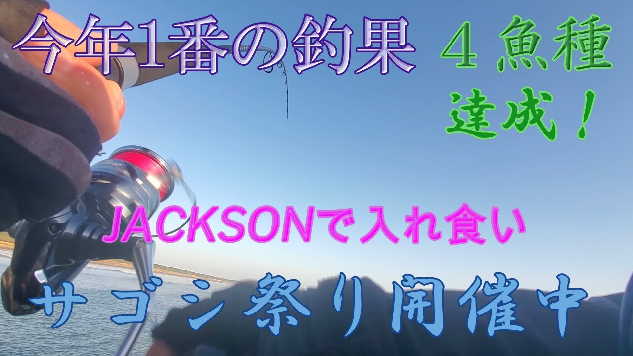 サゴシ祭り開催中！　#JACKSON　#DUEL　#フォールエディション