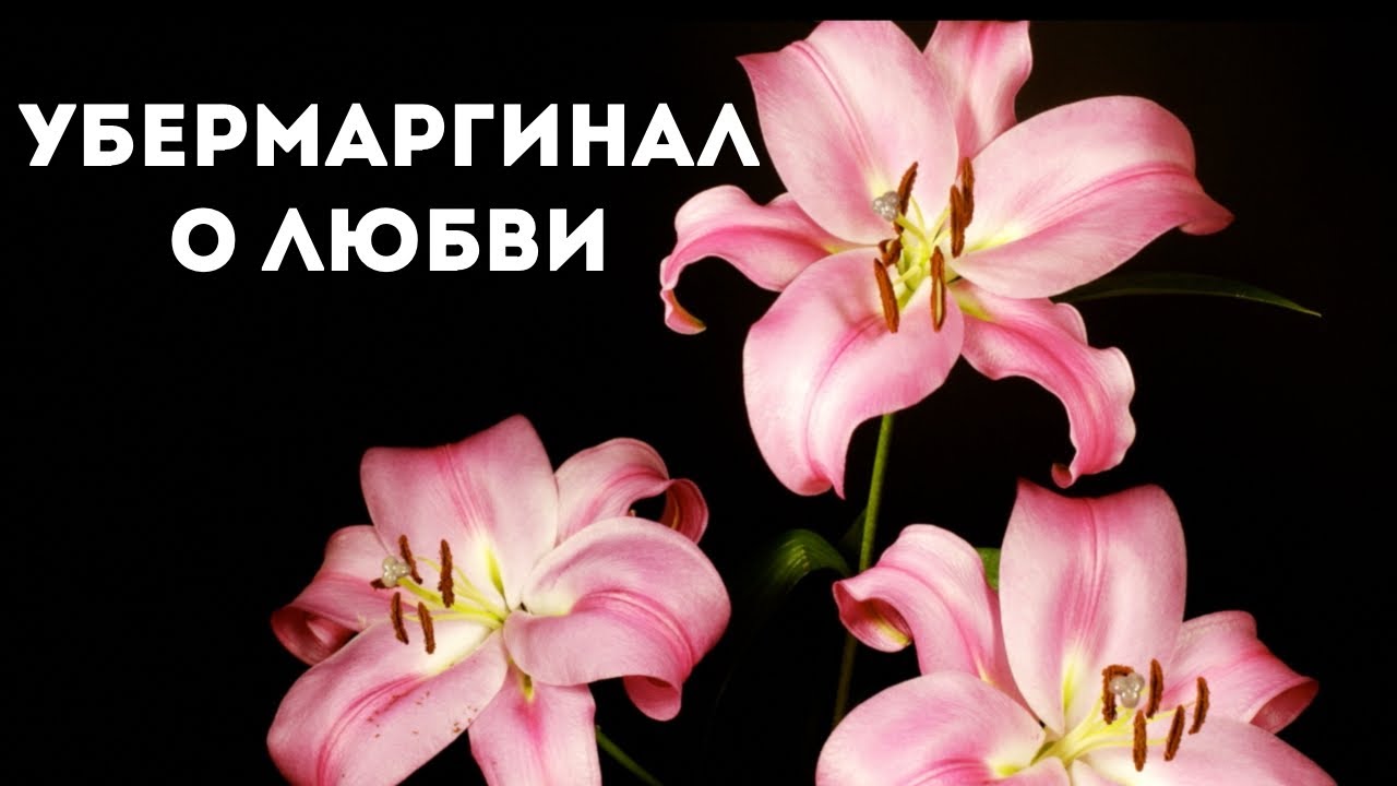 Убермаргинал о любви