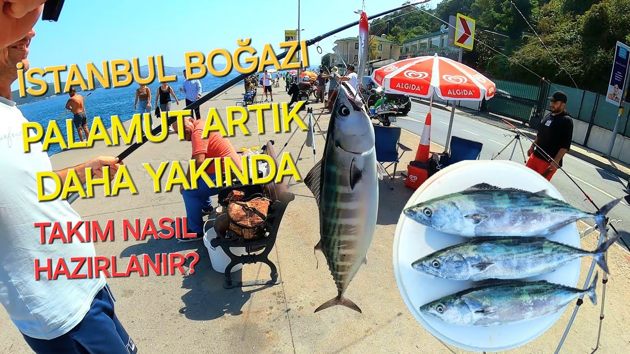 PALAMUT ARTIK DAHA YAKINDA - İSTANBUL BOĞAZI'NDA BALIK AVI - PALAMUT TAKIMI NASIL HAZIRLANIR?