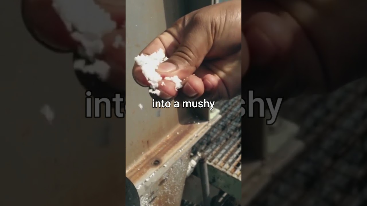 HOW IS PAPER ARE MADE.