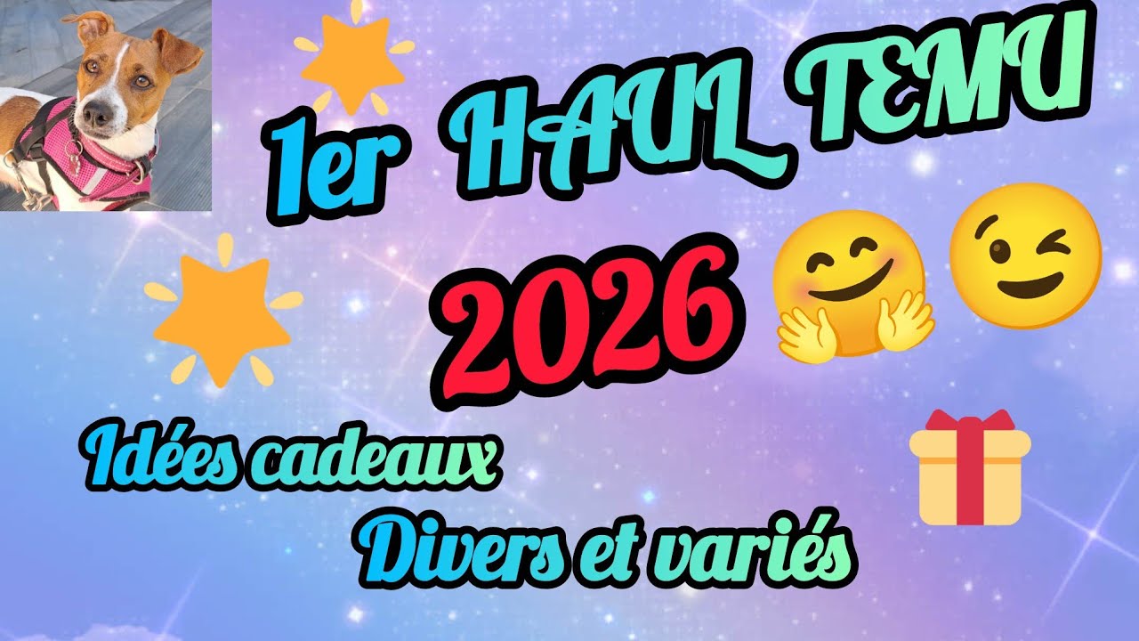 1er #HAUL #TEMU 2026 😁!! #divers #pourtoi #pourvous