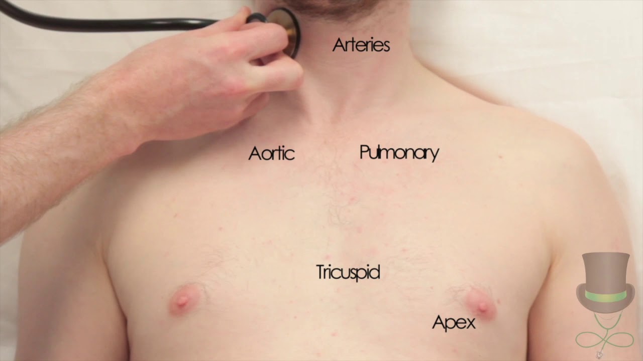 Auscultation of the Heart