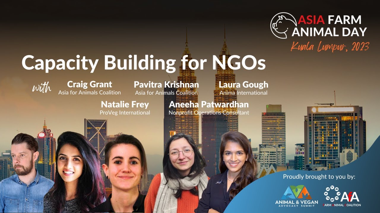 AFAD 2023 | Capacity Building for NGOs