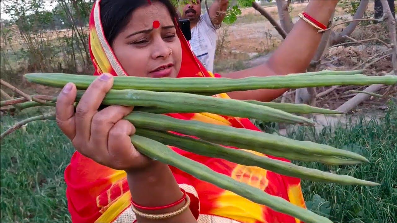 सहजन का सब्जी गांव के ताजे सहजन की तरीदार सब्जी बनाने की विधि सहजन की सब्जी कैसे बनायें sahjan sabzi