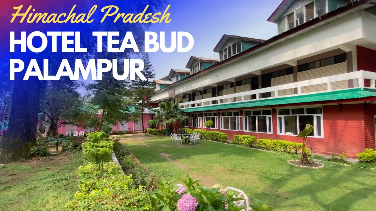 Hotel Tea Bud, HPTDC, Palampur, Himachal Pradesh I Best Place to Stay