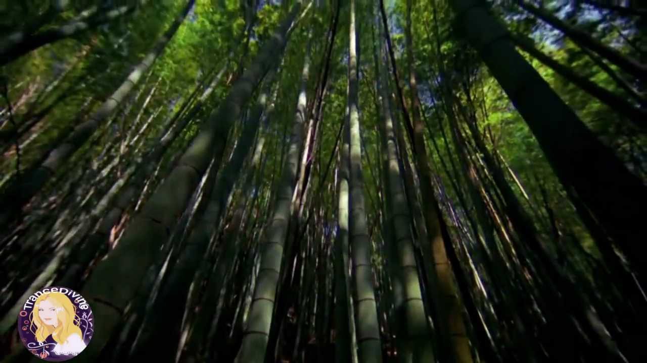 Ben Gold feat. Senadee - Today (Ferry Tayle Neverending Story Remix) Music Video