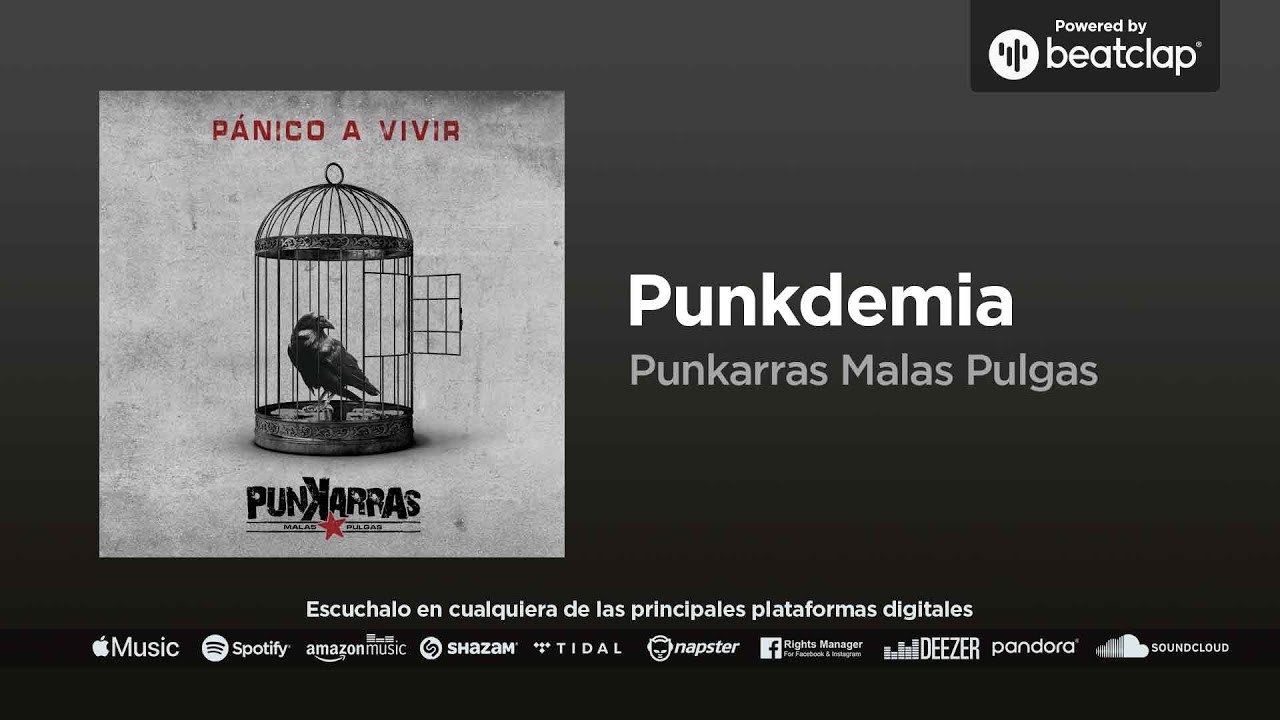 Punkarras Malas Pulgas - Punkdemia