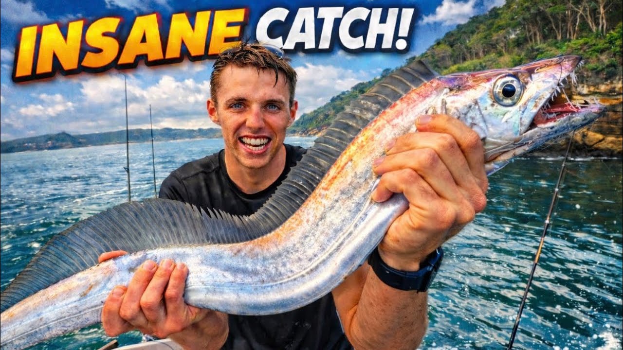 We Caught 4 Jewfish… Then This Happened