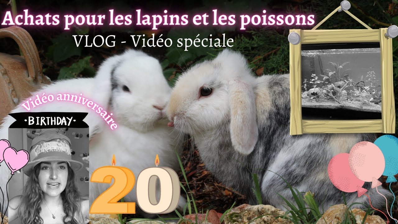 VLOG ANNIVERSAIRE - JE VOUS EMMENE FAIRE LES COURSES POUR LES ANIMAUX DE MA MAISON || Lapin Aquarium