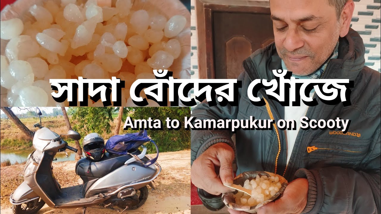 সাদা বোঁদের খোঁজে: Amta to Kamarpukur on Scooty (152 Km) 😉 #travel #roadtrip #tour #viral #trip 