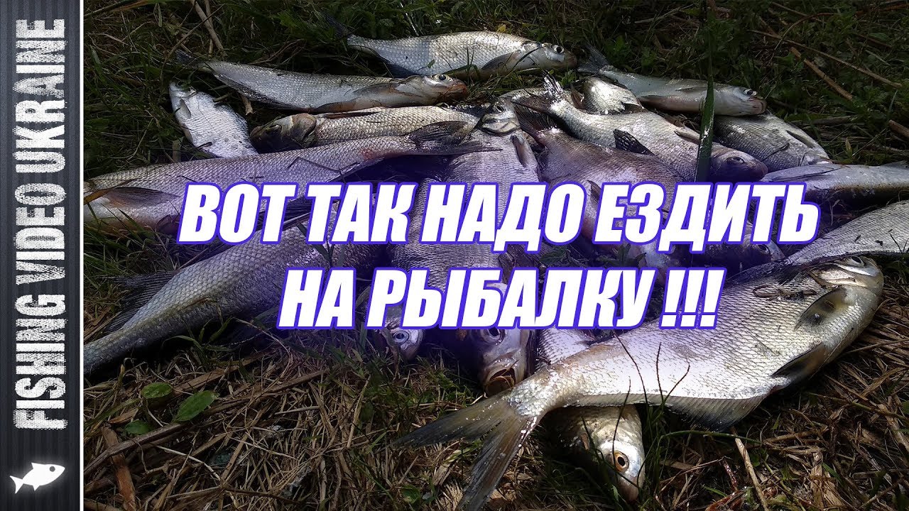 ТРЁХДНЕВНАЯ РЫБАЛКА И ОТДЫХ НА ДЕСНЕ 👍👍👍 | FishingVideoUkraine